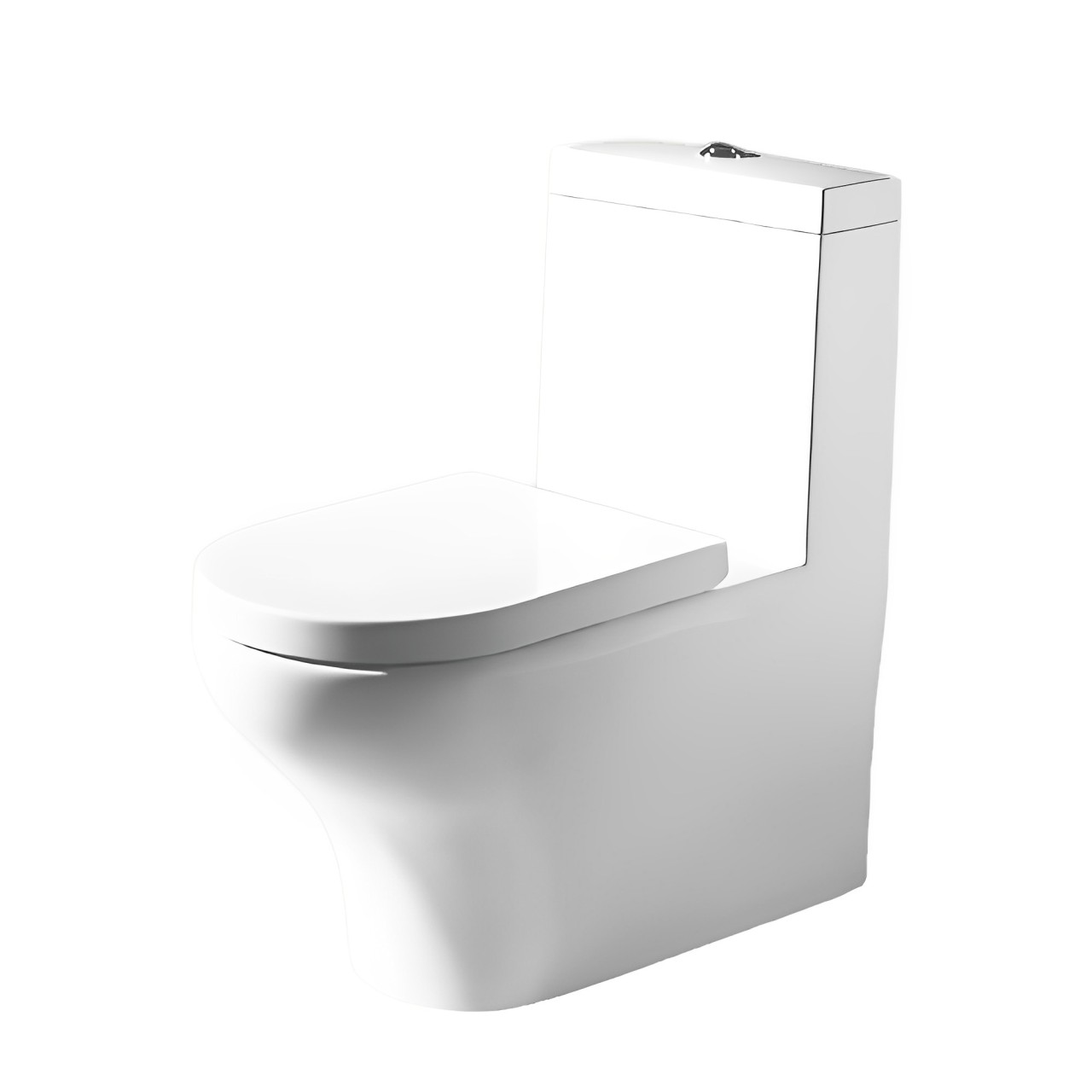 One-piece Toilet Bravat