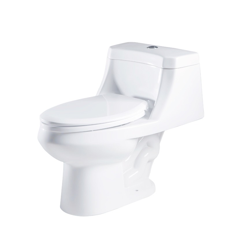 One-piece Toilet Bravat
